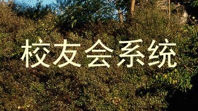 校友会系统