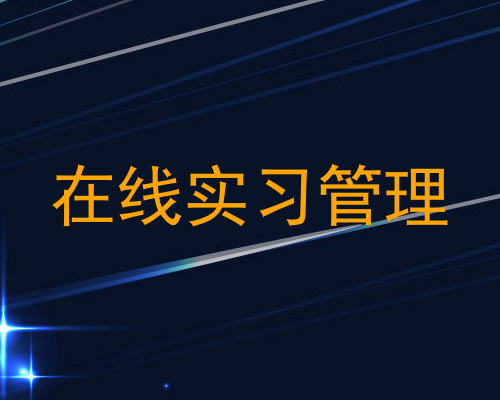 在线实习管理