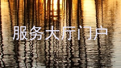 服务大厅门户