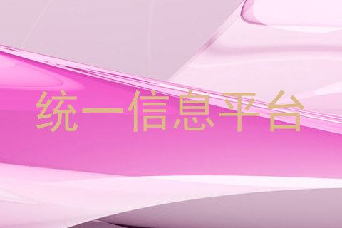 统一信息平台