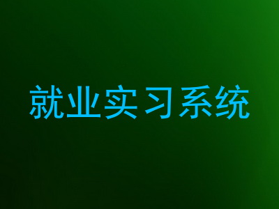 就业实习系统