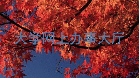 大学网上办事大厅