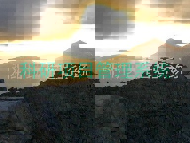 科研项目管理系统