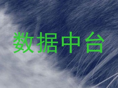 数据中台