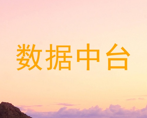 数据中台