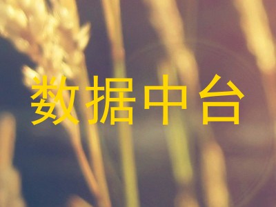 数据中台