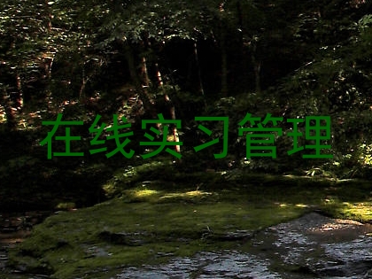 在线实习管理