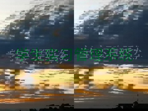 学生实习管理系统