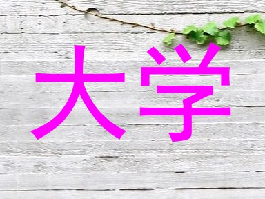 大学