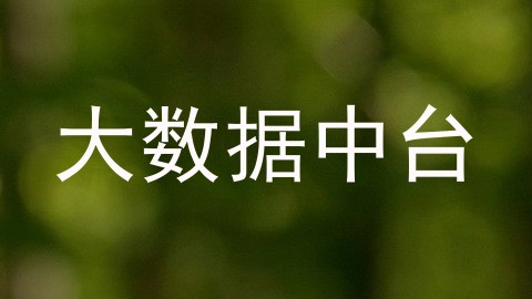 大数据中台