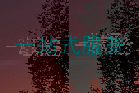 一站式服务