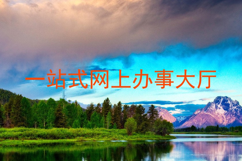 一站式网上办事大厅