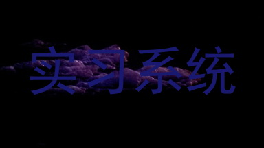 实习系统