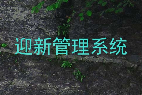 迎新管理系统