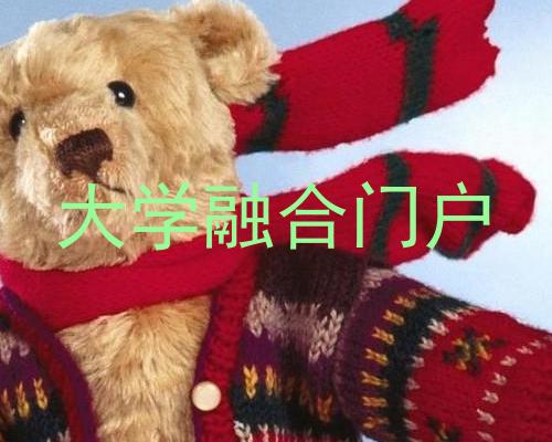大学融合门户