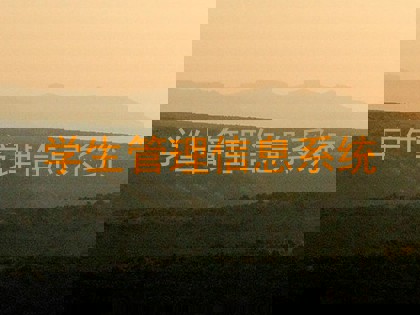 学生管理信息系统