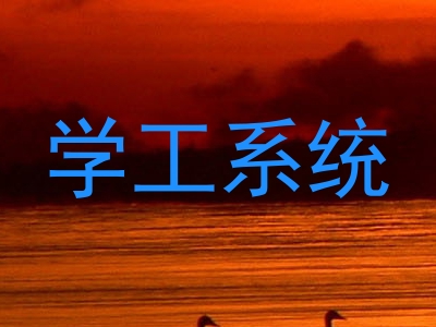 学工系统