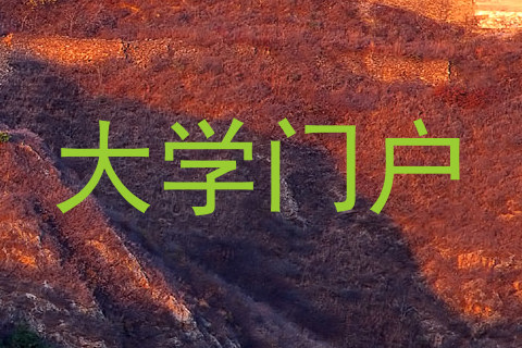 大学门户