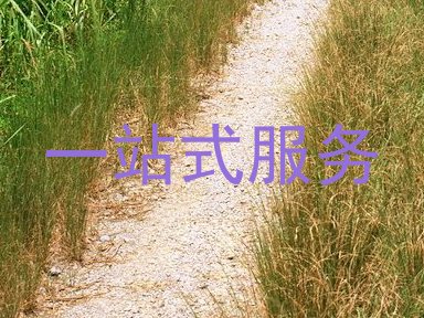 一站式服务