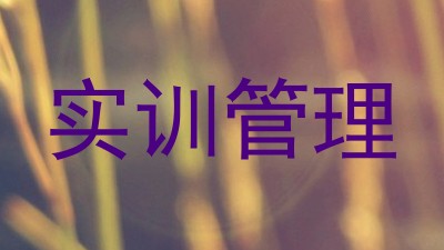 实训管理