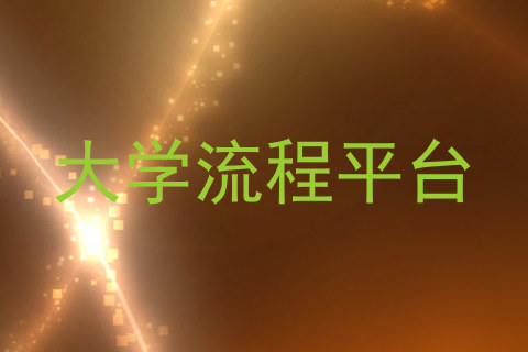 大学流程平台