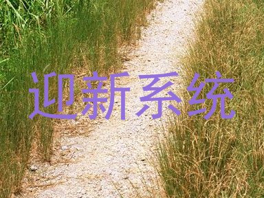 迎新系统