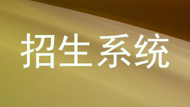 招生系统