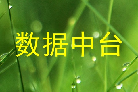 数据中台