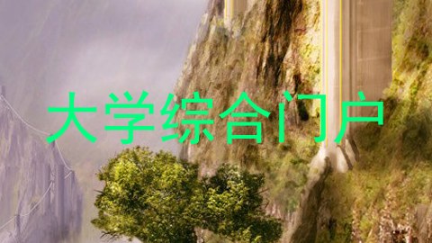 大学综合门户