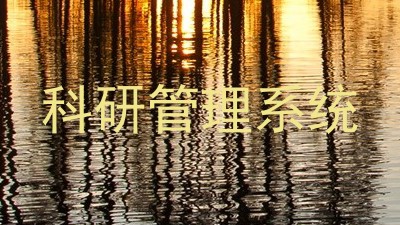 科研管理系统