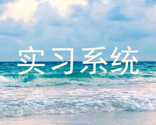 实习系统