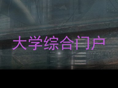 大学综合门户