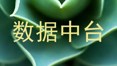 数据中台