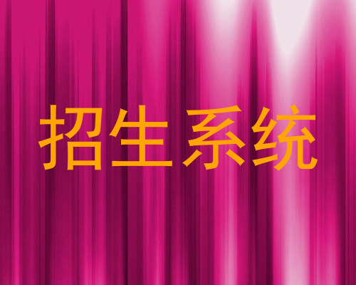 招生系统