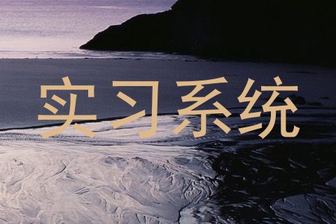实习系统