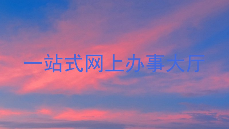 一站式网上办事大厅