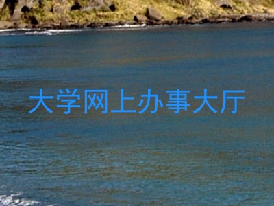 大学网上办事大厅