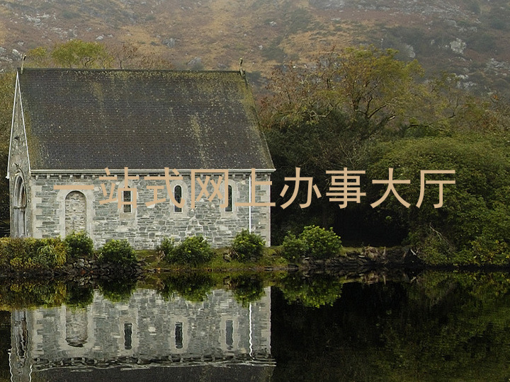 一站式网上办事大厅