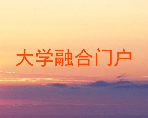 大学融合门户