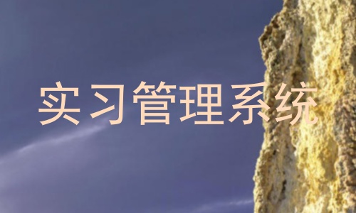 实习管理系统