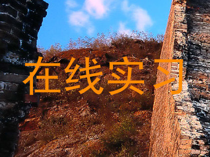 在线实习