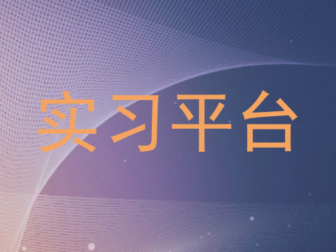 实习平台