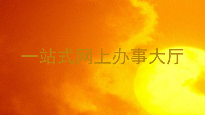 一站式网上办事大厅