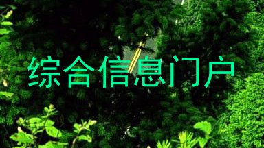综合信息门户