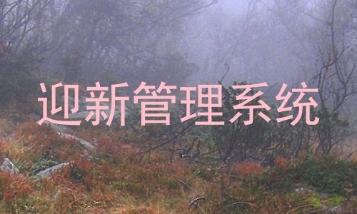 迎新管理系统