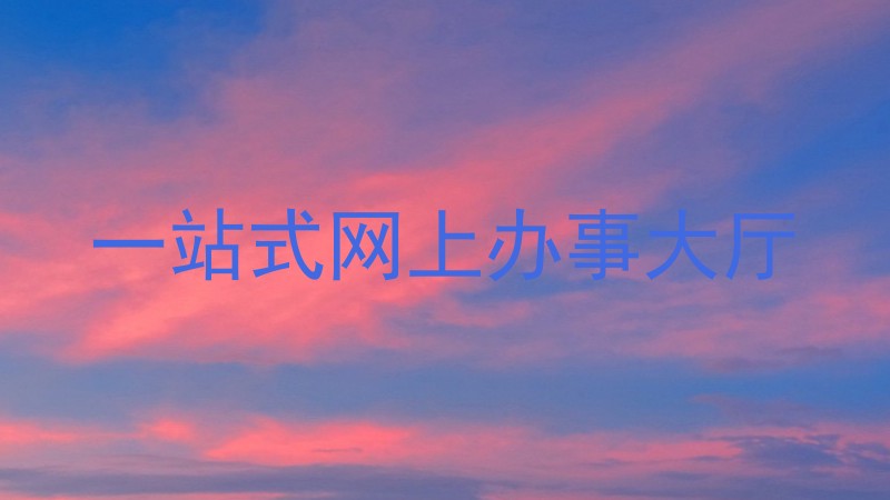 一站式网上办事大厅