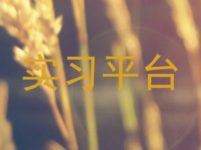 实习平台