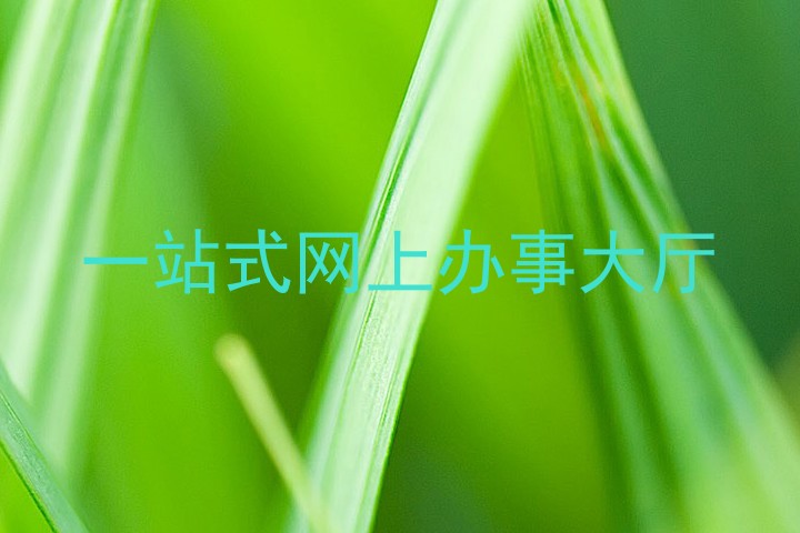 一站式网上办事大厅