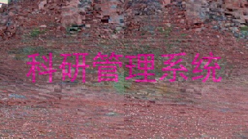 科研管理系统