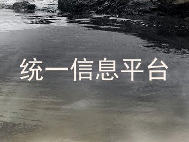 统一信息平台